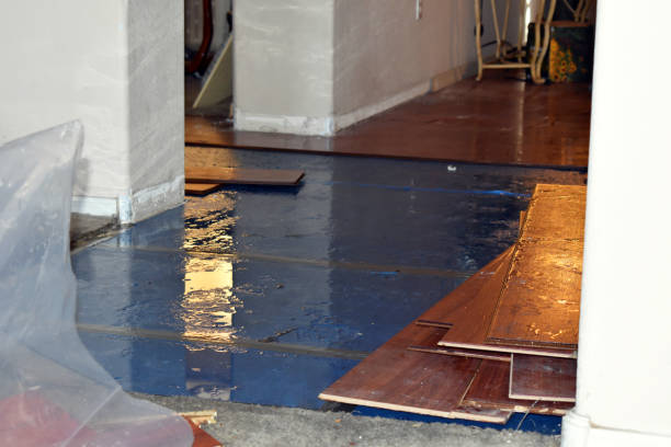 Professional Basement Flood Cleanup technician working in Mountainside, NJ